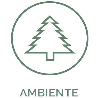 Ambiente